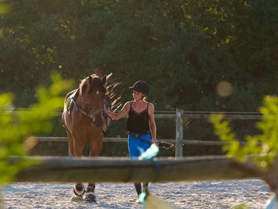 Dressage cheval carrière environnement respect 