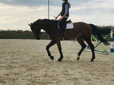 Plat tapis de cheval extérieur 