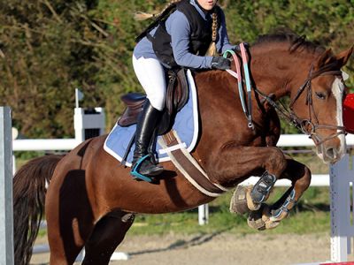 Concours CSO jeune cavalière saut d’obstacle 91 Essonne 