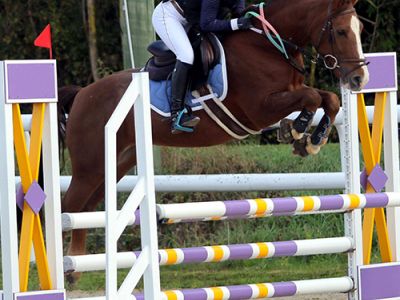 Fontainebleau CSO concours equitation 