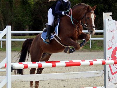 hippique cso cavalière professionnel