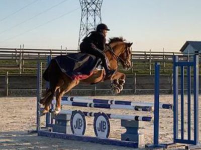 Poney de sport valorisation cavalière professionnel île de France cso 