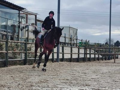 Cheval Cavalière Dressage Plat Carrière Respect 